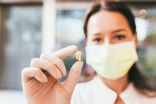 A doctor holding up a lost tooth at Alexandra Garcia, DDS, MS in Houston, TX